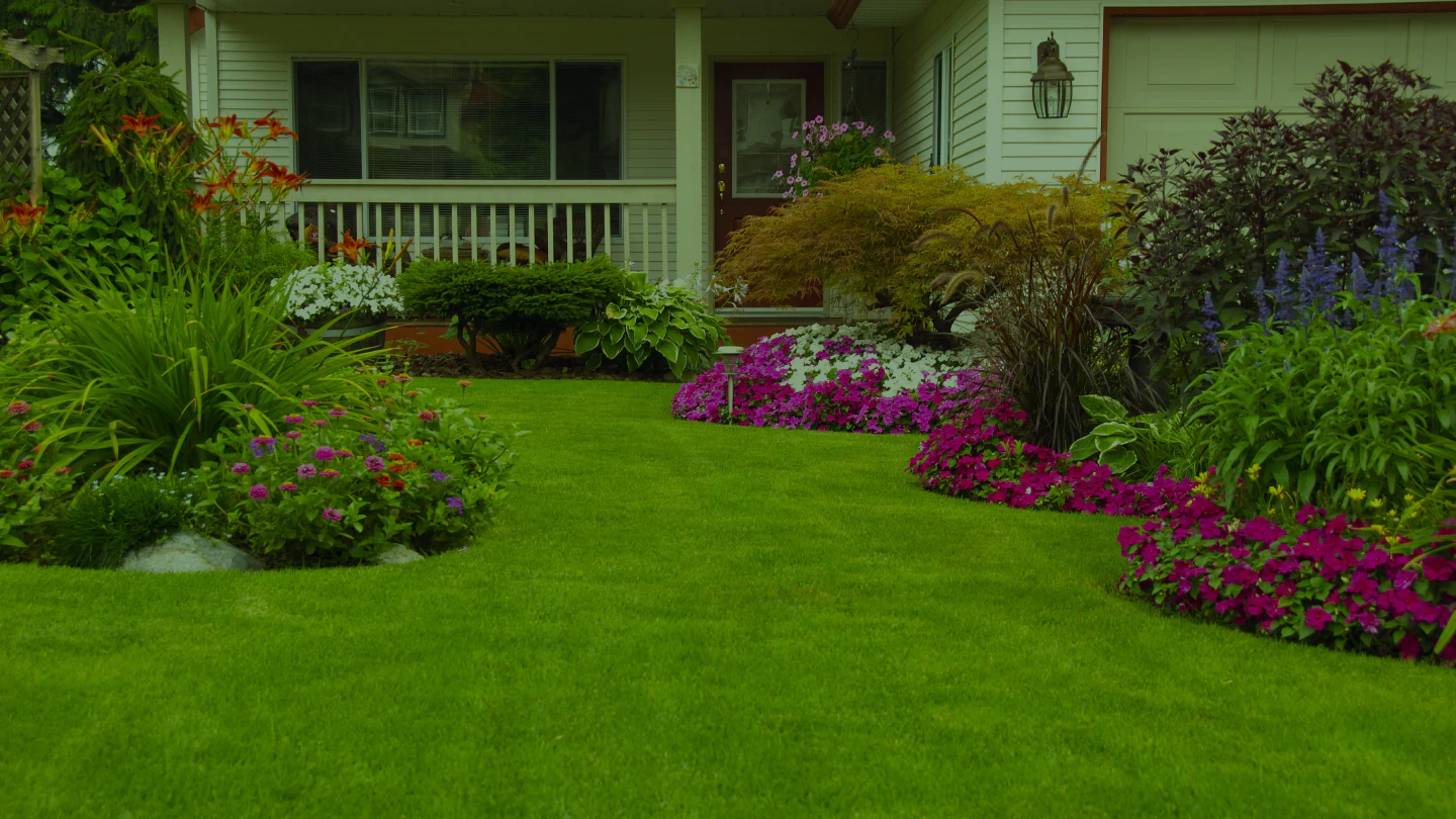 beautiful lawn landscape