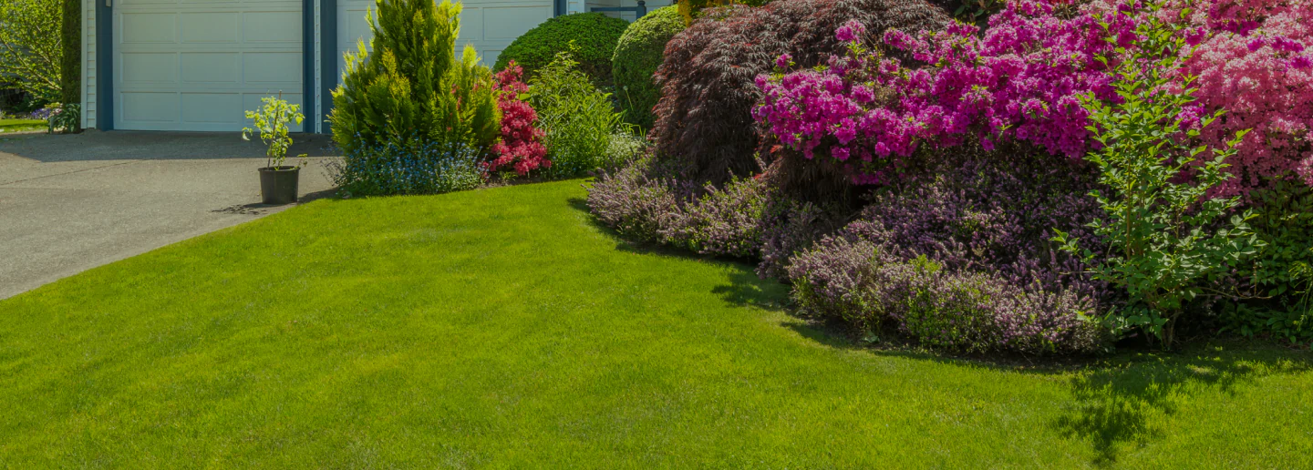 lawn full of colorful flowers and plants