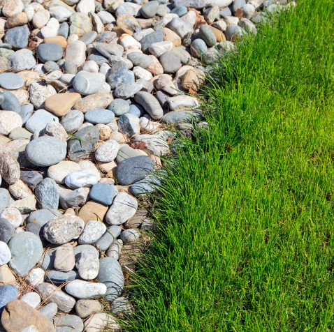 lawn with dry creek bed stones